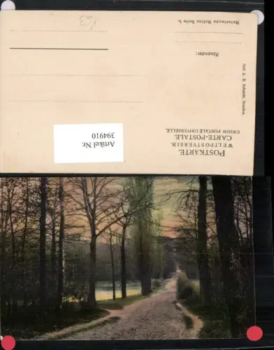 394910,Künstler AK Landschaft Wegpartie pub Carl A. E. Schmidt Dresden