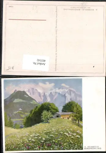 403342,Künstler AK A. Reinbold Bergfrühling Landschaft Bergkulisse