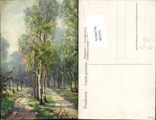 403355,Künstler AK Wald Bäume Wegpartie