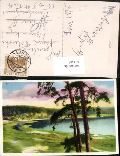 403363,Künstler AK Landschaft See Bäume