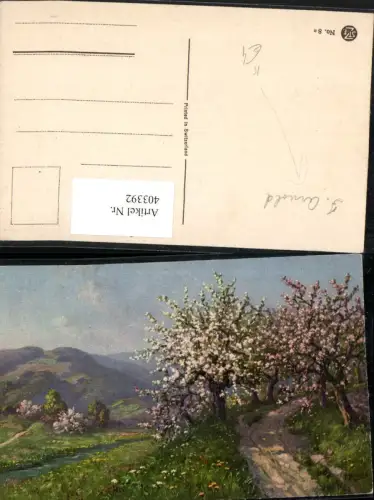 403392,Künstler AK F. Arnold Landschaft Baumblüte