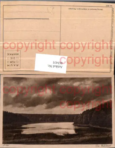 463431,Künstler AK H. Ebel Waldteich Landschaft Teich