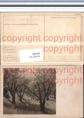 469088,Künstler AK A. Kaufmann Sommer Landschaft Bäume