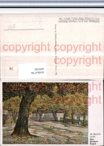 469106,Künstler AK A. Biedermann Aus Goethes Tagen Bäume