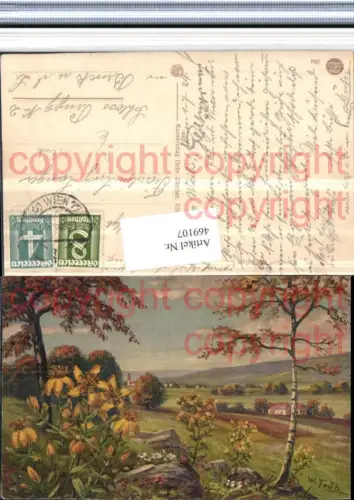 469107,Künstler AK W. Früh Hypercium perforatum Echtes Johanniskraut Landschaft