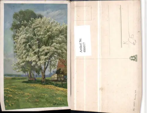 486017,Künstler AK W. Bürger Landschaft Baumblüte Baum