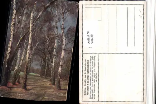 520739,Künstler AK F. Bayerlein Frühling Landschaft Birken Bäume