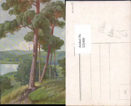 532460,Künstler AK F. Kerer Baum Bäume