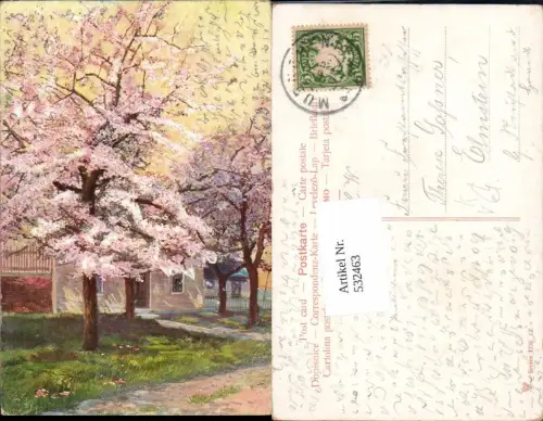 532463,Künstler AK Baum Blüte pub Dr. Trenkler 1238 2 n. Elmstein