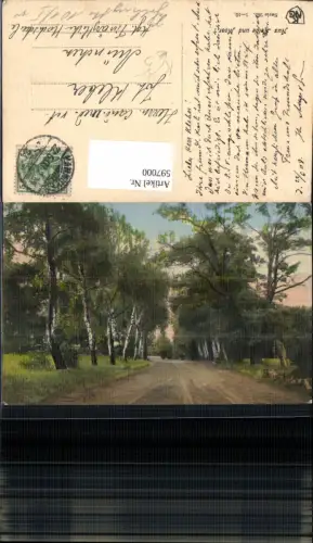 597000,Künstler Ak Aus Heide u. Moor Birken Bäume Allee Landschaft