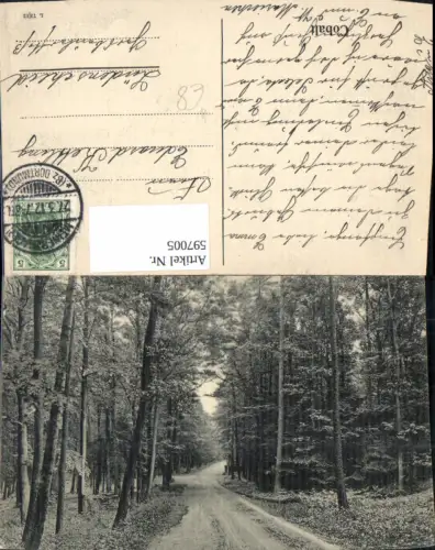 597005,Künstler Ak Cobalt Allee Wald Landschaft Bäume