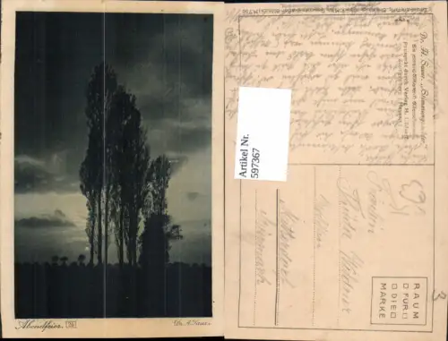 597367,Künstler Ak Dr. A. Sauer Abendfeier Bäume Sonnenuntergang pub H. Lüdorff 24