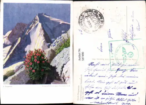 597490,Künstler Ak E. Stegmann Gegenblättriger Steinbrech Flora Blumen Feldpost 2. Jäger Lehrkompanie