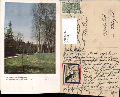 597541,Künstler Ak Waldgestade Wald Birken Landschaft pub Dr. Eugen Kravil