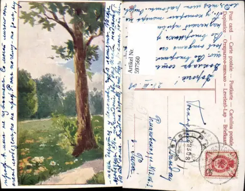 597560,Künstler Ak Baum Wald pub Dr. Trenkler 801euro1