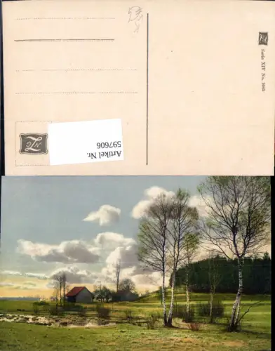 597606,Künstler Ak Haus Birken Landschaft pub NZG XIVeuro1045