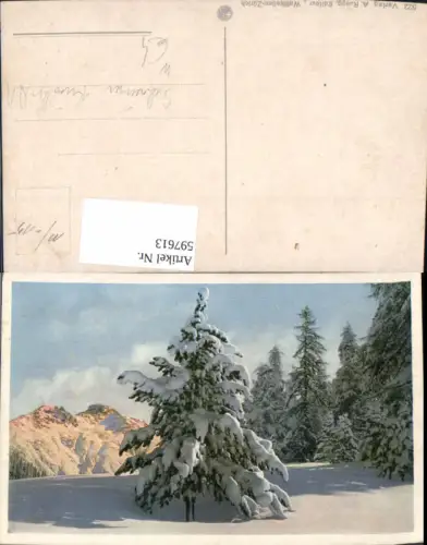 597613,Künstler Ak Schweiz Winterlandschaft Baum i. Schnee pub A. Ruegg 522