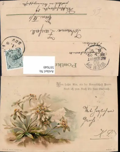 597649,Künstler Litho Edelweiß Alpenflora Spruch