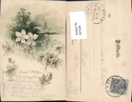 627239,Künstler Litho Baum Landschaft Weiße Blüten Blumen pub Gebrüder Obpacher 89euro20700