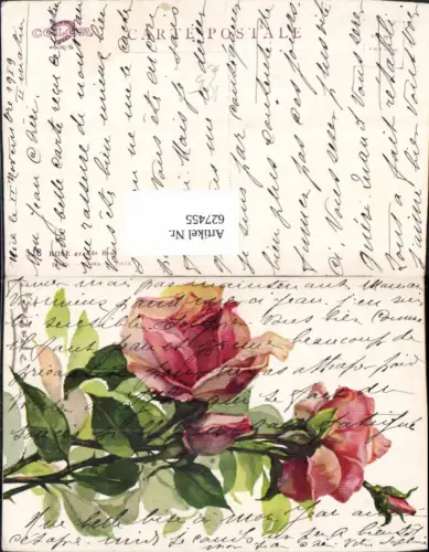 627455,Künstler Ak Rosa Rosen Blumen Blüte Knospe