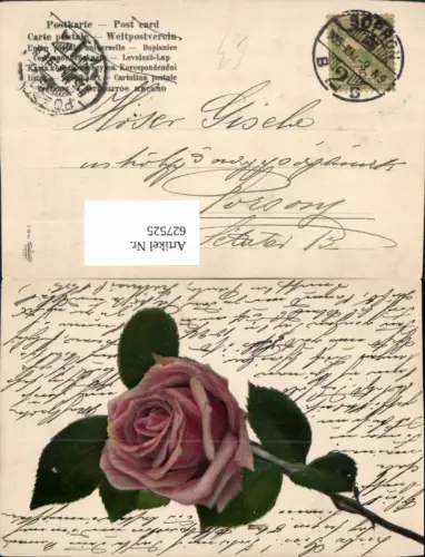627525,Künstler Ak Rosa Rosen Blüte Blume Stp. Sopron