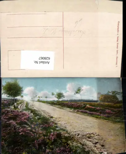 628067,Künstler Ak Lüneburger Heide Heidelandschaft