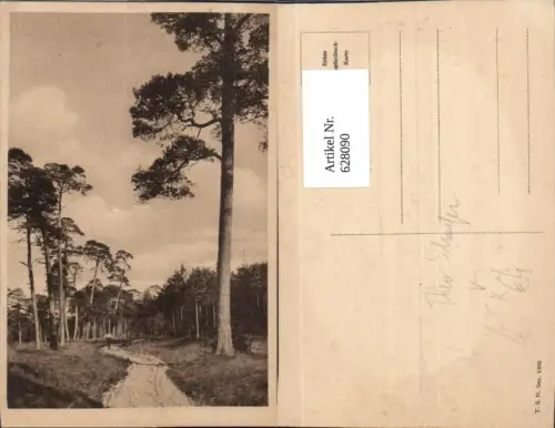 628090,Künstler Ak Baum Bäume Wald pub Theo Stroefer 1362