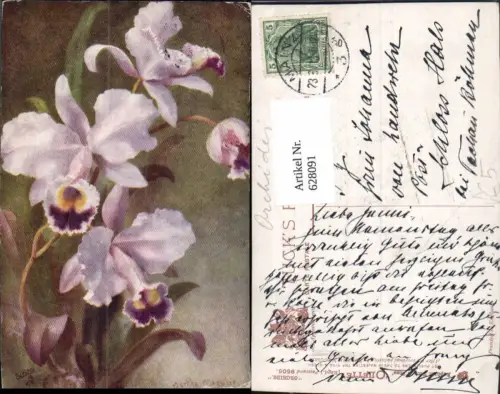 628091,Künstler Ak Bertha Maguire Orchids Orchidee Blumen Blüten pub Raphael Tuck Sons 9505