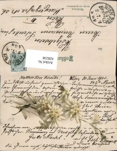 628238,Künstler Litho Blumen Edelweiß
