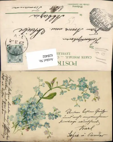 628402,Künstler Litho Vergissmeinnicht Blumen