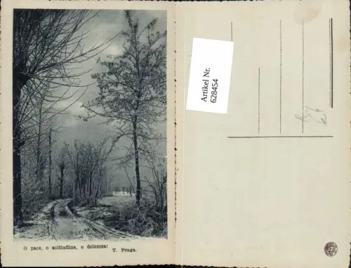 628454,Künstler Ak T. Praga O pace o solitudine o dolcezzal Wald Allee Landschaft i. Winter