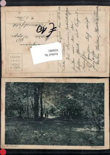 656081,Künstler Ak H. Deuchert Waldinneres Wald Bäume Landschaft