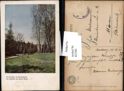 657305,Künstler AK Stimmungsbild Wald Landschaft Waldgestade pub Schulverein 1284