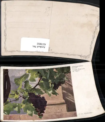 657892,Künstler Ak F. G. Waldmüller Rebenumranktes Fenster Wein Weintrauben