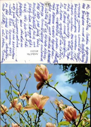 451211,SOS-Kinderdorf O12euro1972 Baumblüte Blüten