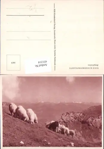 451214,SOS-Kinderdorf 54euro9 Bergfrieden Schafe Schafherde Bergkulisse