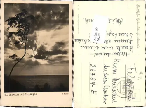 86220,K. Müller Foto Verlag Abend Baum Feldpost