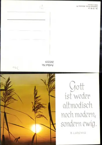 265219,Fotokunst Groh 220014 Schilfwedel Schilf Sonne i. Hintergrund Spruch B. Ludwig