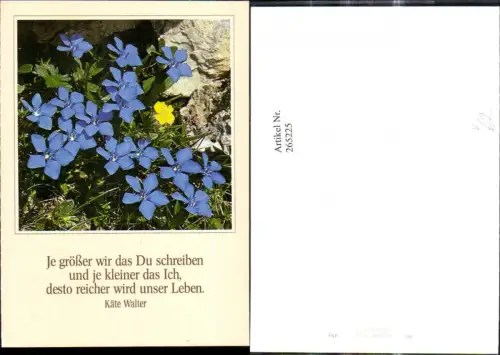 265225,Fotokunst Groh 200083 Blumen b. Stein Spruch Käte Walter