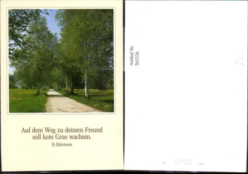 265226,Fotokunst Groh 200065 Weg Strasse Baumallee Allee Birken Bäume Spruch B. Björnson