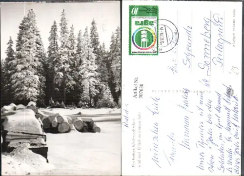 307630,Fotokunst Weihnachten Neujahr Wald Holzstämme Winterbild pub Planet-Verlag Berlin