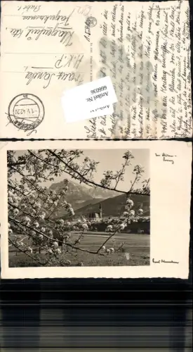 666036,Foto-AK Fotokunst Ernst Baumann Blüten Baum Feldpost HS-Kunstkarte