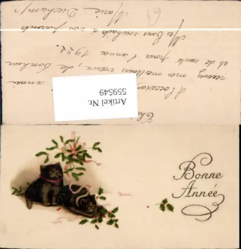 559549,Neujahr Katzen Katzenkinder Mistelzweig Schleife Stechpalme