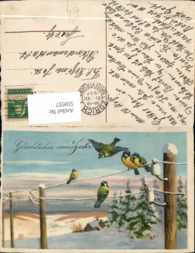 559557,Neujahr Vogel Vögel Stromleitung Winterlandschaft