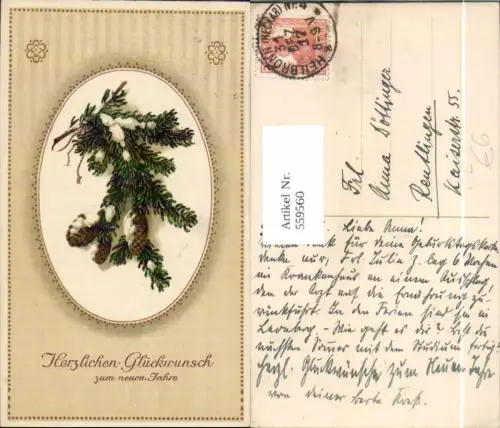 559560,Litho Neujahr Tannenzweig Zapfen Schnee Passepartout