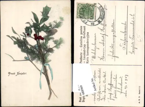 Neujahr Zweige Stachelbeeren gel. Friedland Böhmen Frydlant n. Tiefenbach Tannwald