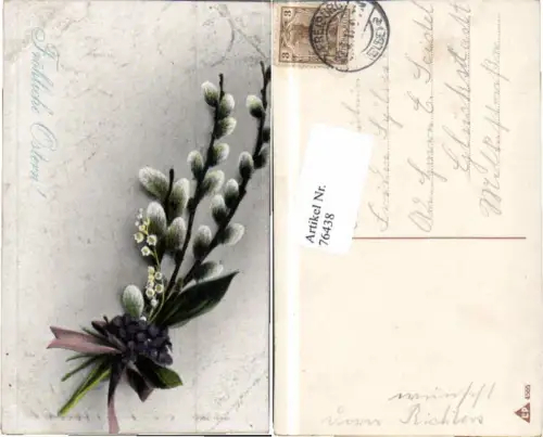 76438,Ostern Palmkätzchen Blumen gel Freiburg Elbe