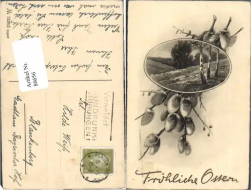 86656,Ostern Palmkätzchen Wald gel Plauen