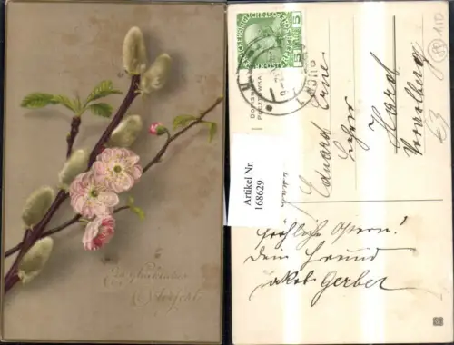 168629,Ostern Palmkätzchen Blumen