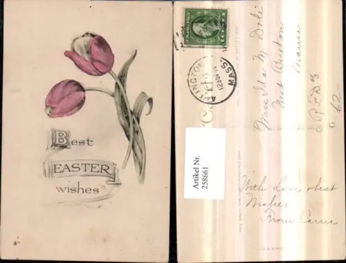 258661,Ostern Blumen Tulpen